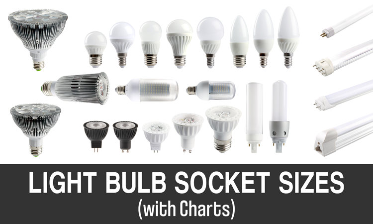 Light Bulb Socket Sizes W Charts, What Size Light Bulbs Go In A Ceiling Fan