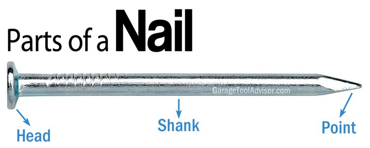 parts of a nail