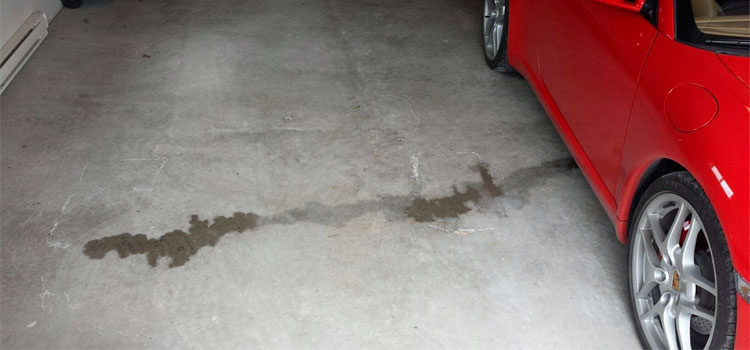 What's That Leak? Types of Car Fluids and Their Colors | Garage Tool